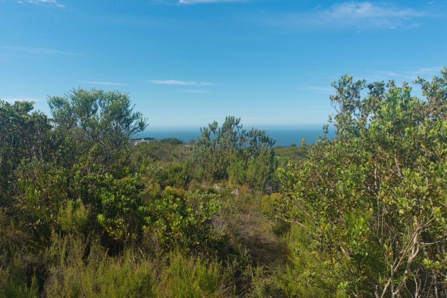 Commercial Property for Sale in Pezula Private Estate Western Cape